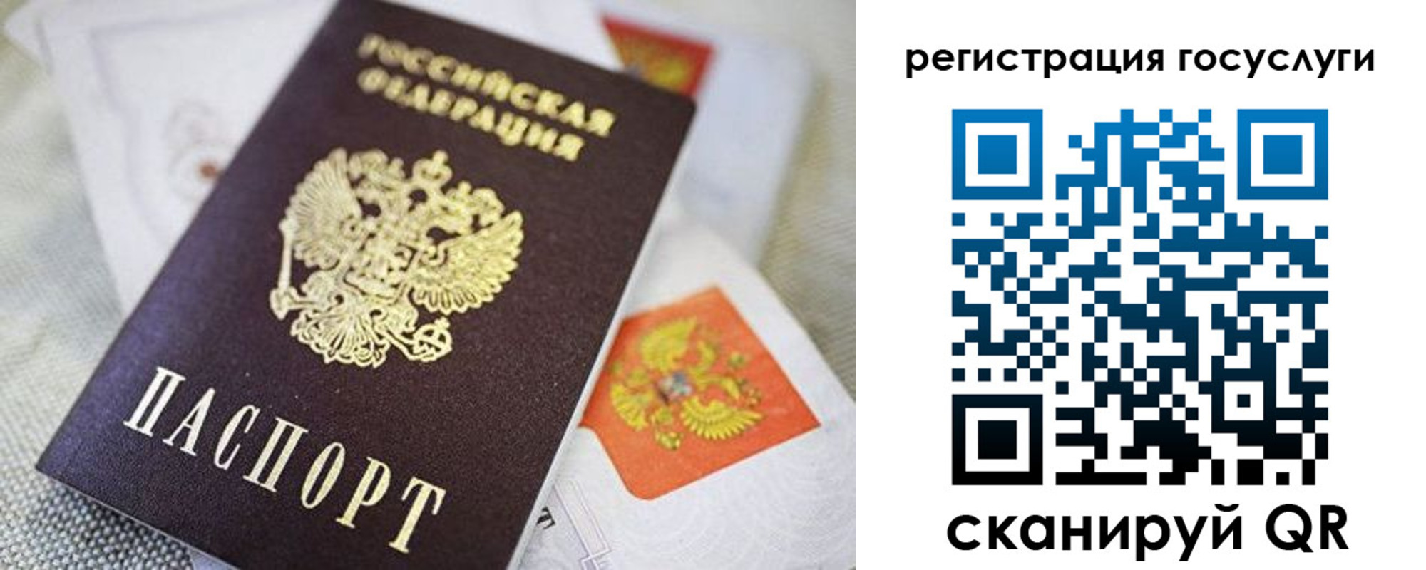 прописка паспорт в Амурской области
